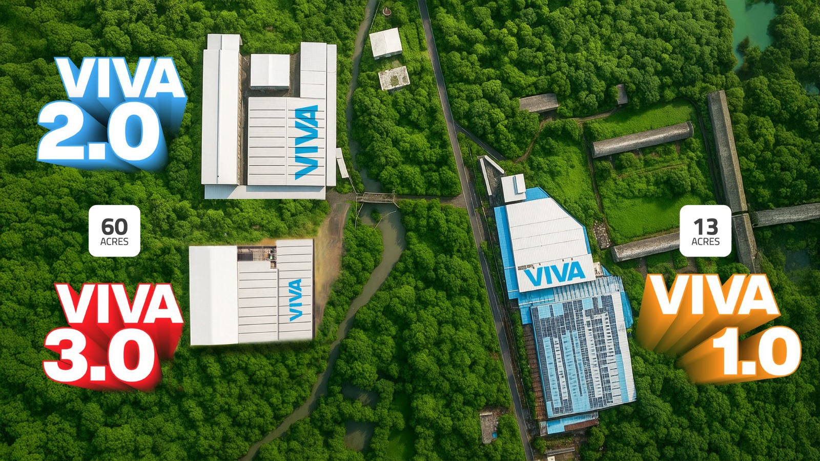 Our Shining Stars of Success